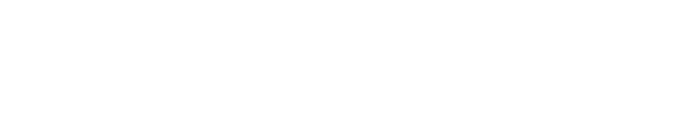 Diversity North Group Logo